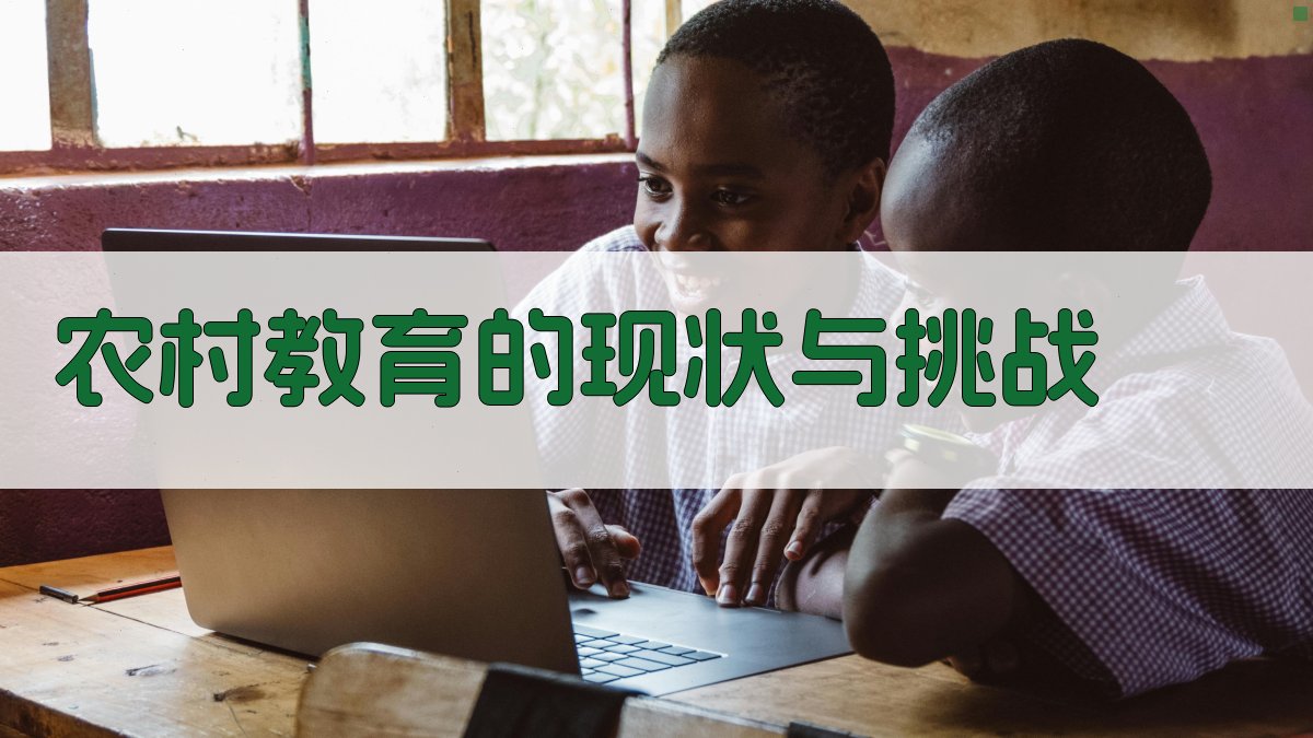 农村教育的现状与挑战 图1