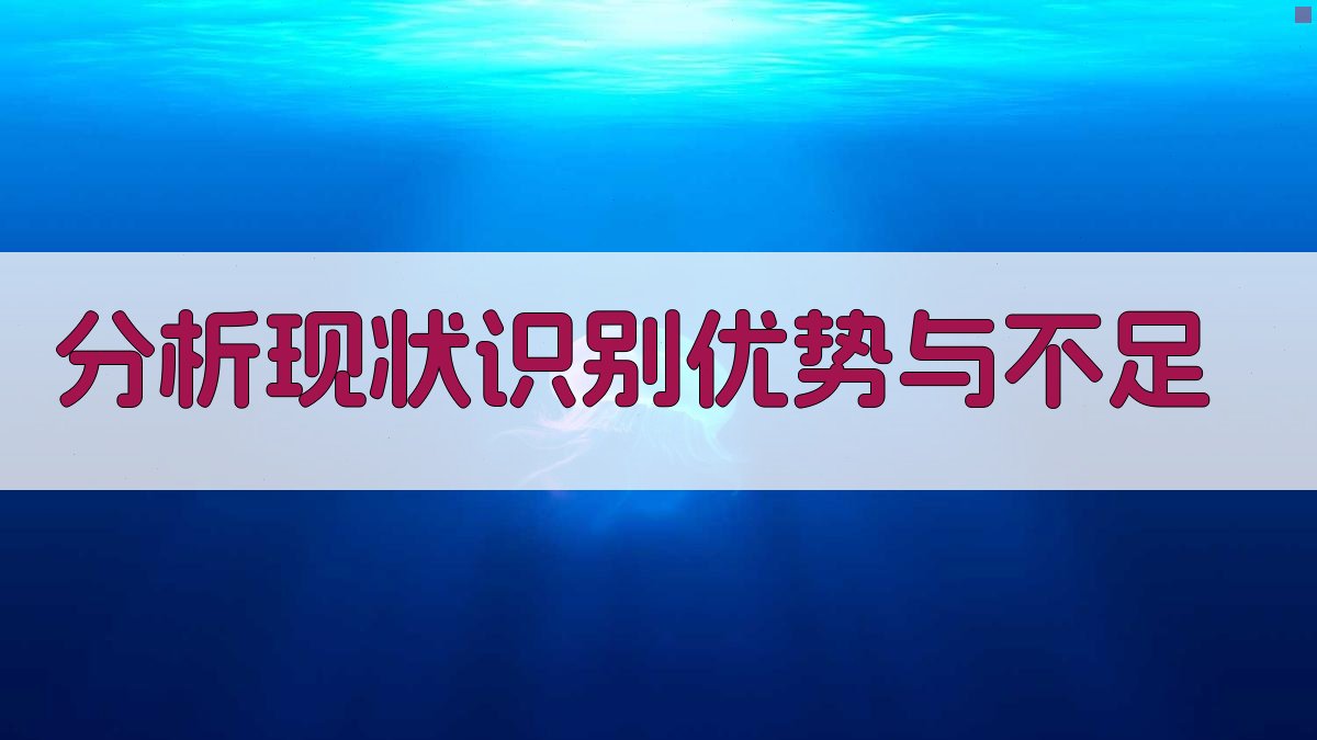 分析现状识别优势与不足 图2