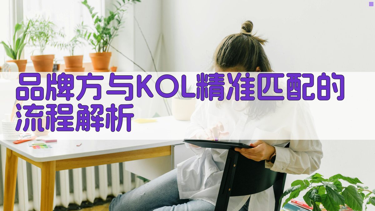 品牌方与KOL精准匹配的流程解析 图1