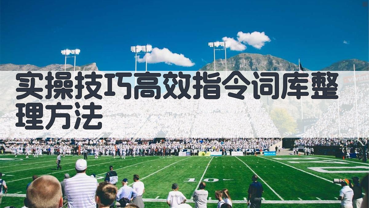 实操技巧：高效指令词库整理方法 图3