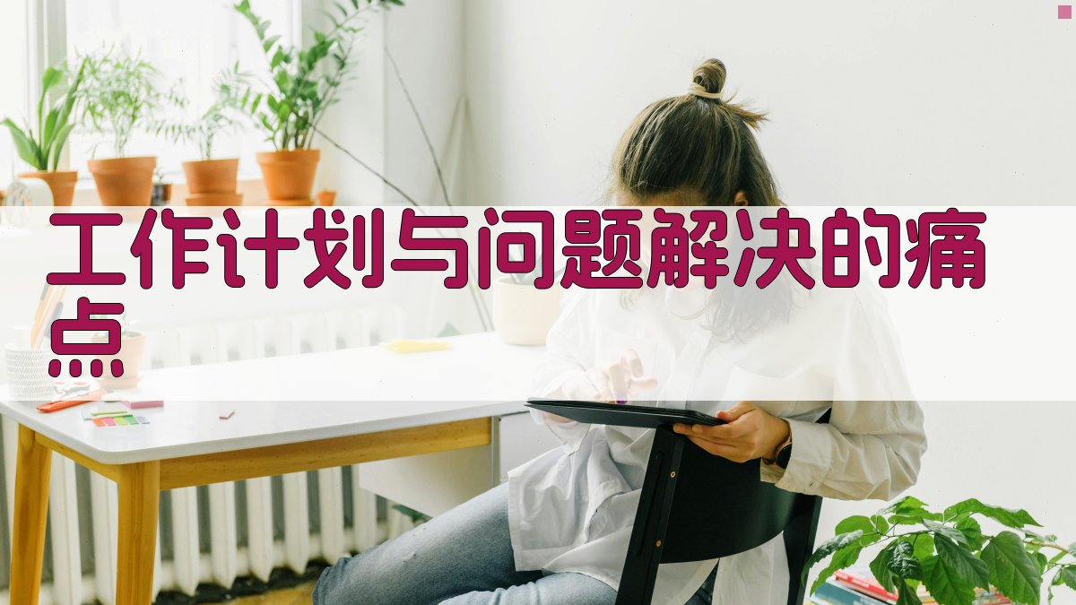 工作计划与问题解决的痛点 图1