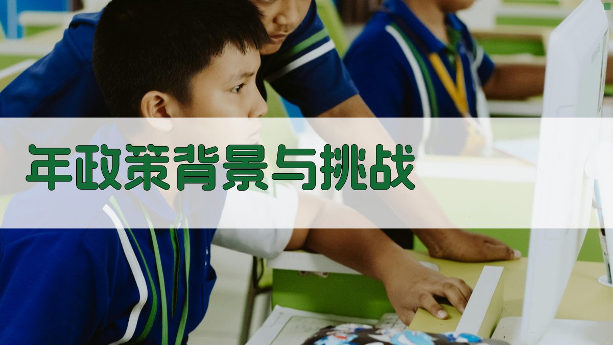 年政策背景与挑战 图1