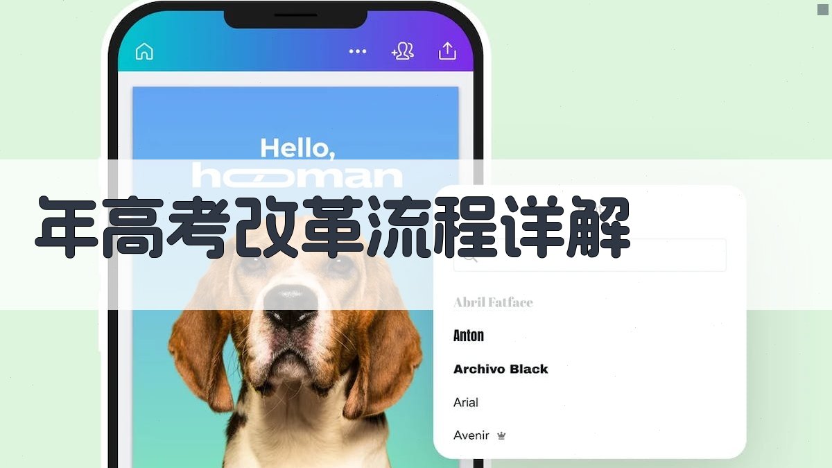 年高考改革流程详解 图3