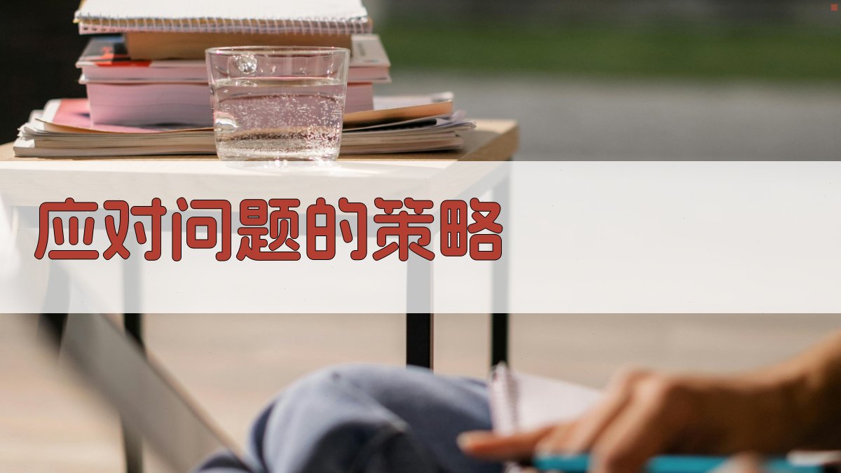应对问题的策略 图4
