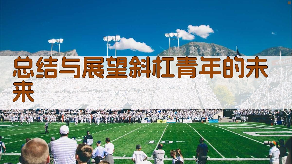 总结与展望：斜杠青年的未来 图3