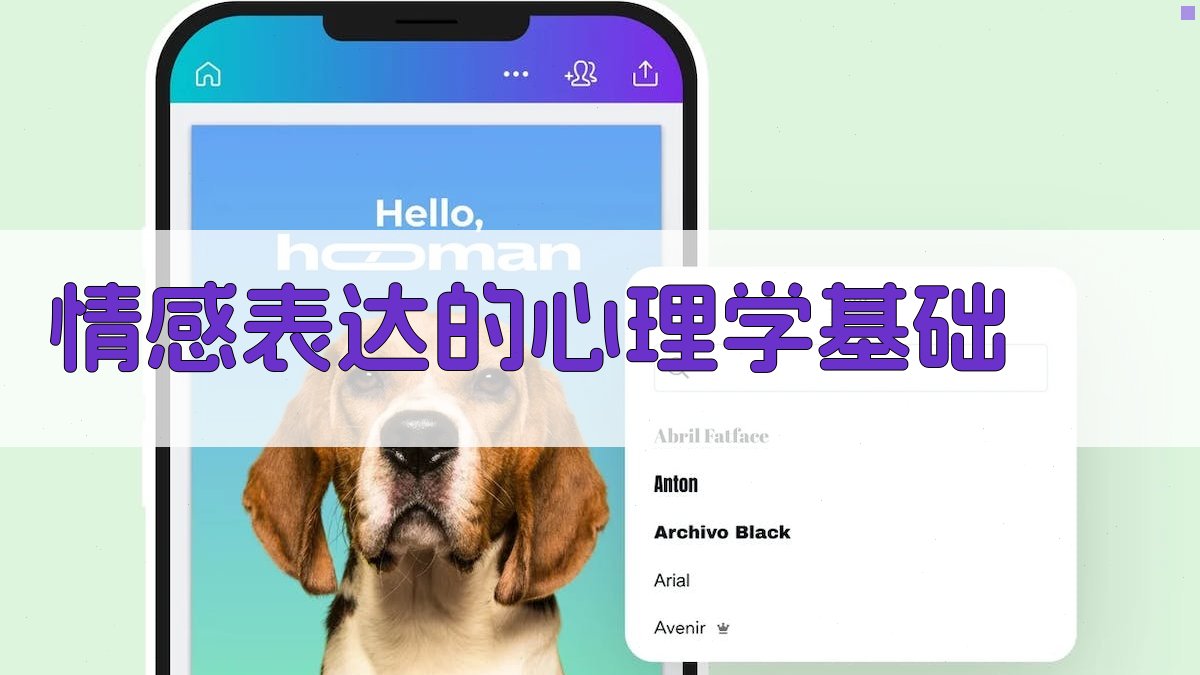 情感表达的心理学基础 图1