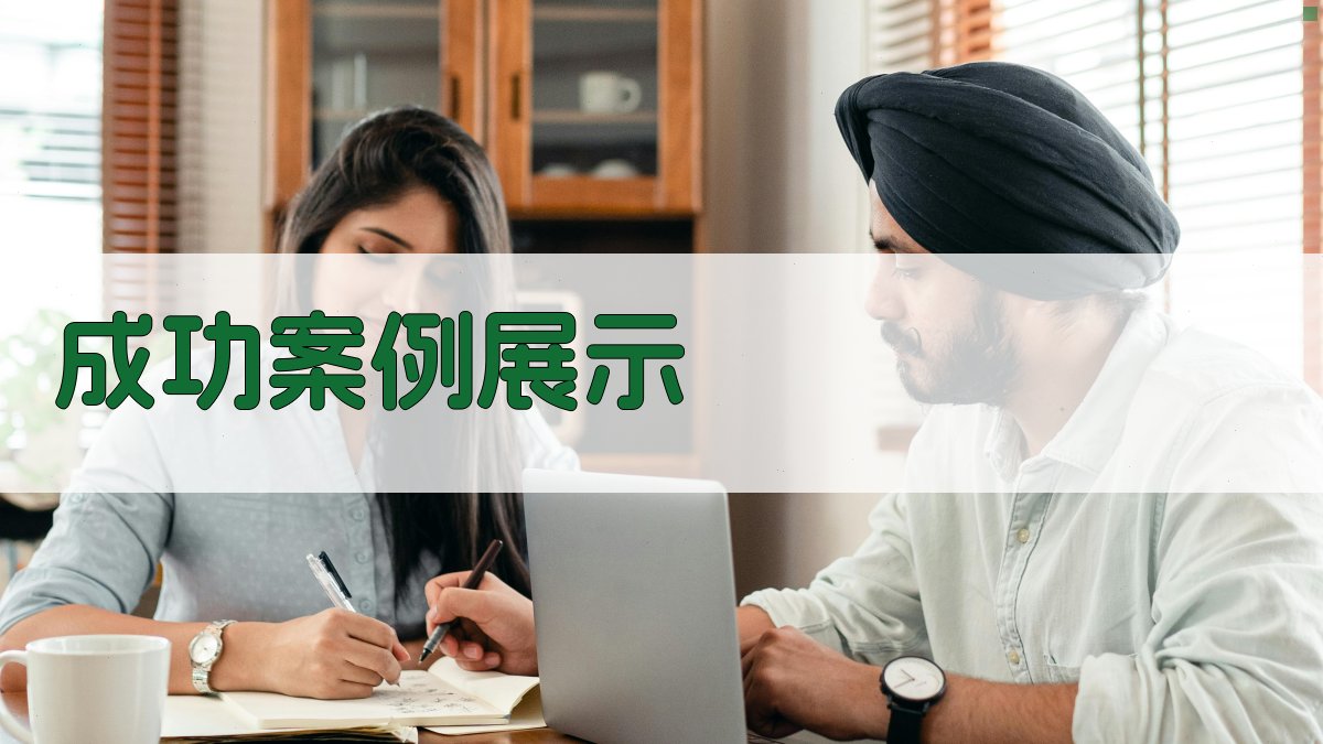 成功案例展示 图4