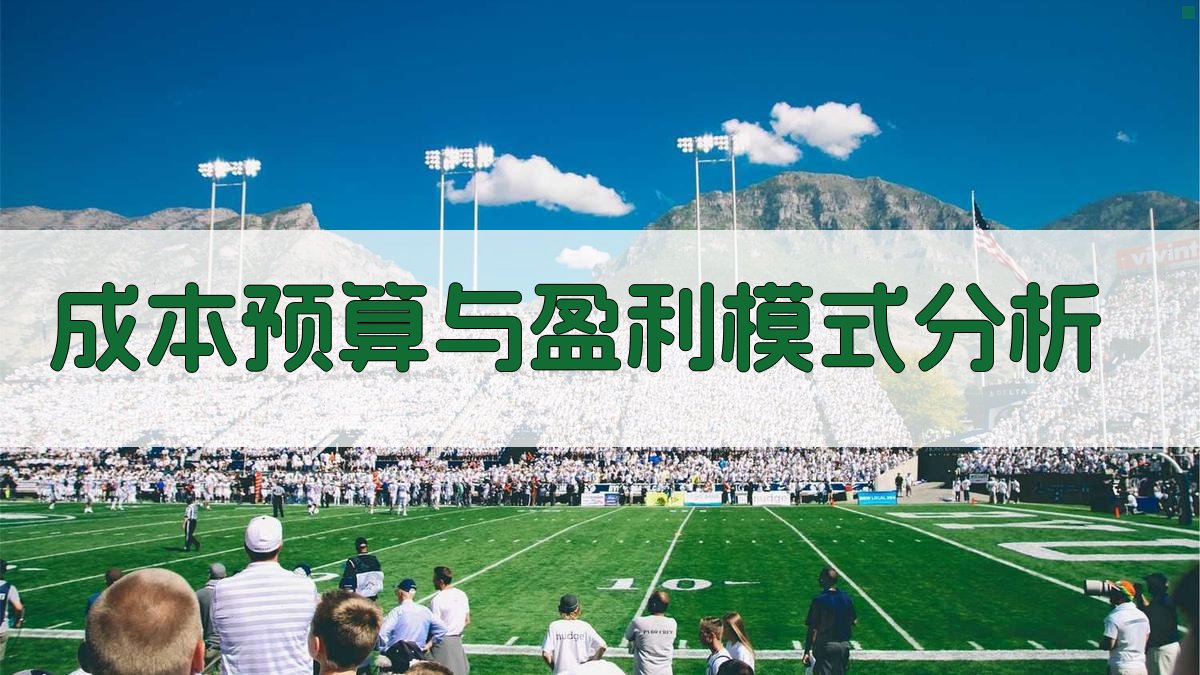 成本预算与盈利模式分析 图2