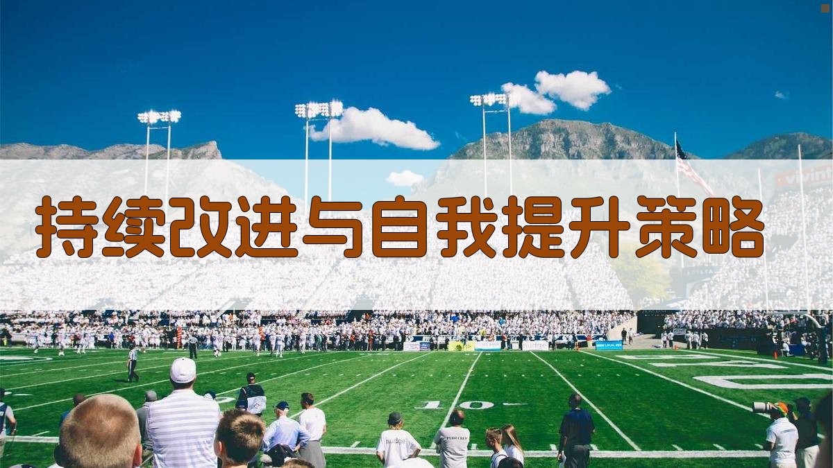 持续改进与自我提升策略 图5