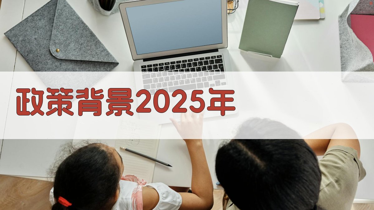 政策背景（2025年） 图2