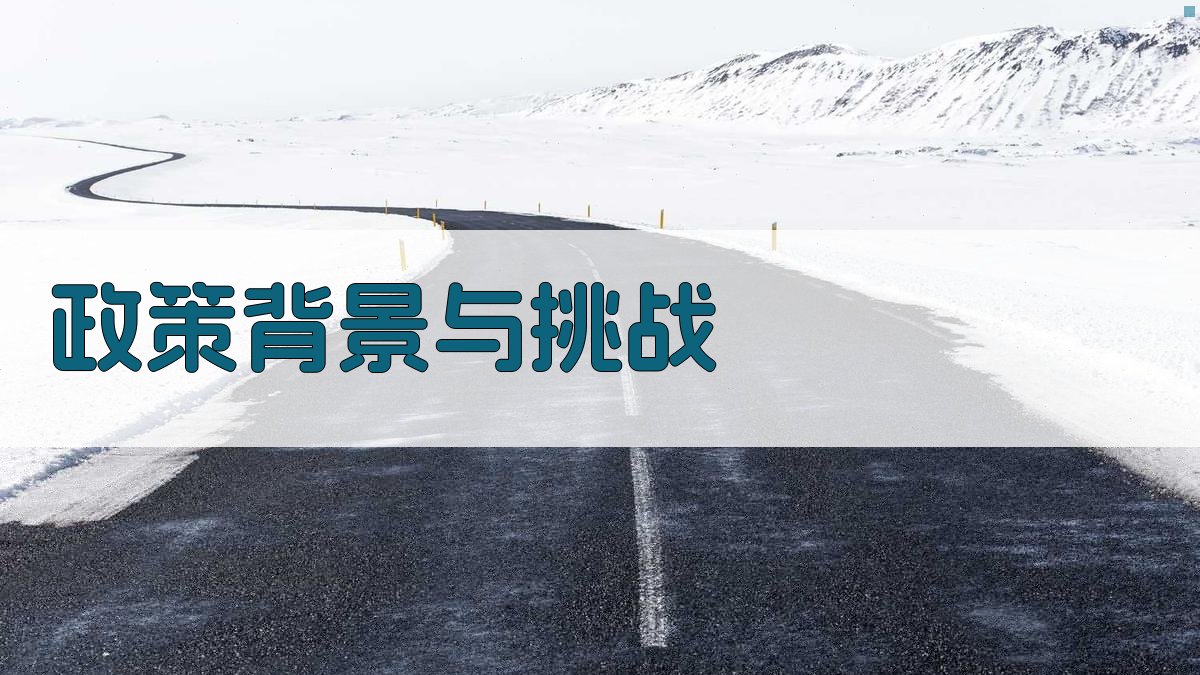 政策背景与挑战 图1