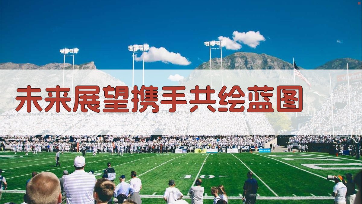 未来展望携手共绘蓝图 图2