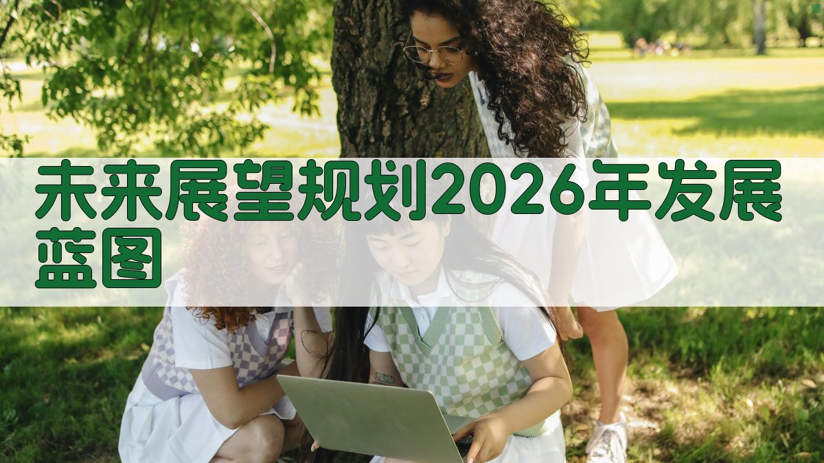 未来展望：规划2026年发展蓝图 图3