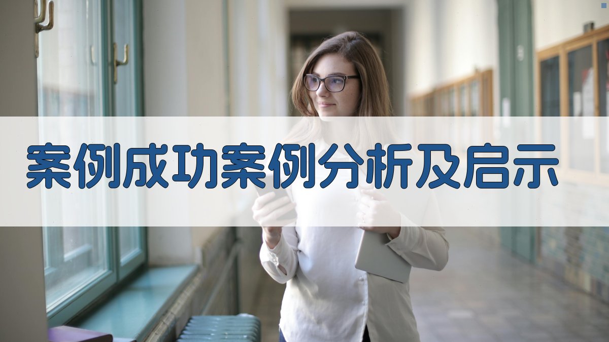 案例成功案例分析及启示 图5
