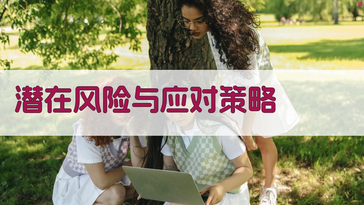 潜在风险与应对策略 图2