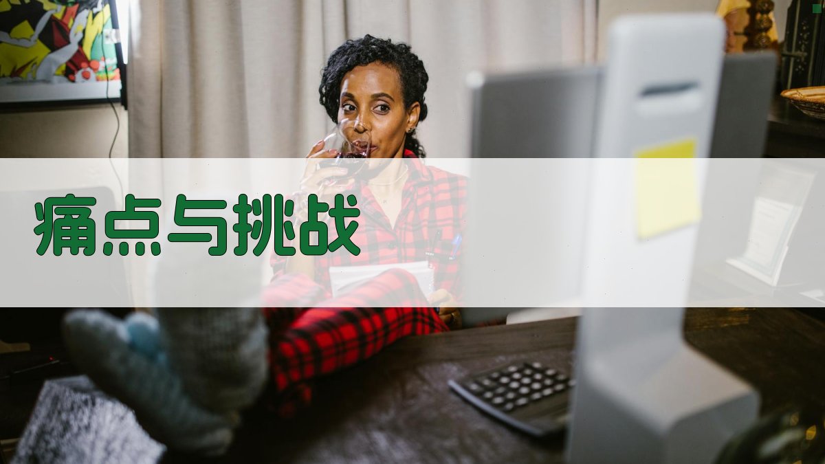 痛点与挑战 图2