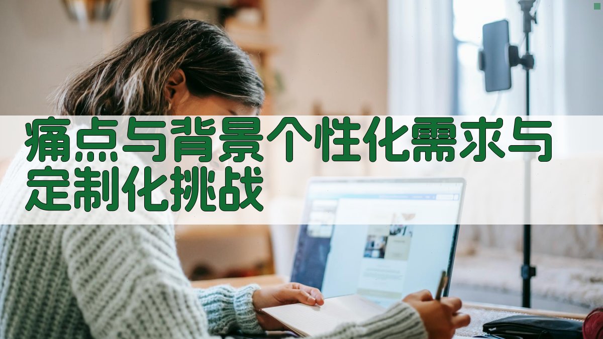痛点与背景：个性化需求与定制化挑战 图1