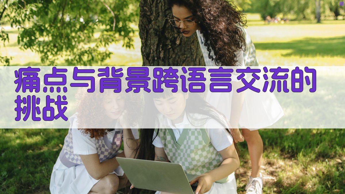 痛点与背景：跨语言交流的挑战 图1
