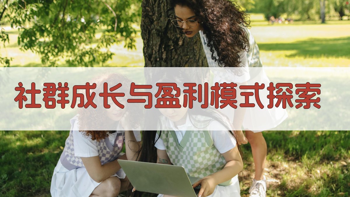 社群成长与盈利模式探索 图4