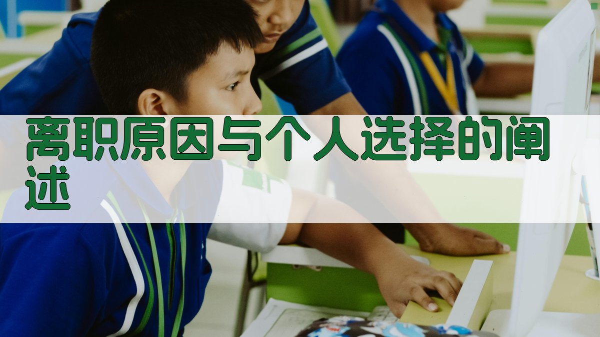 离职原因与个人选择的阐述 图4