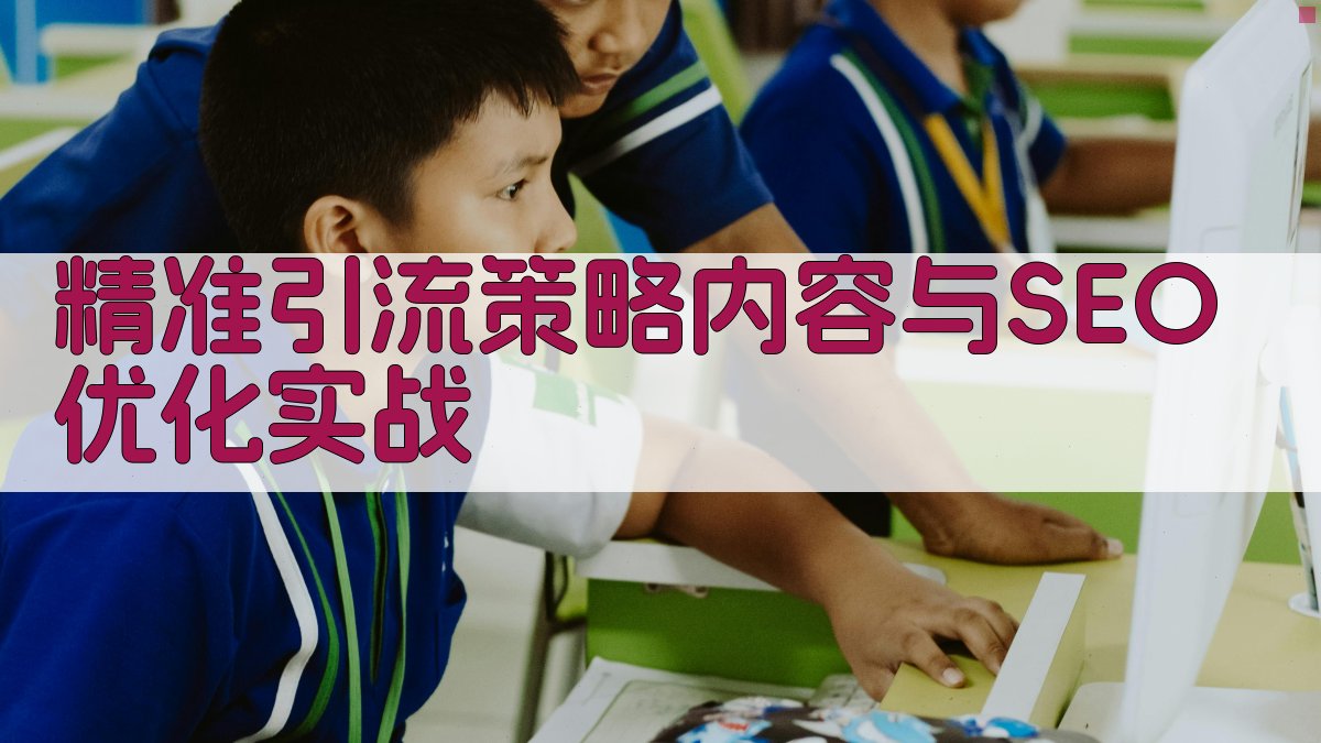 精准引流策略内容与SEO优化实战 图3
