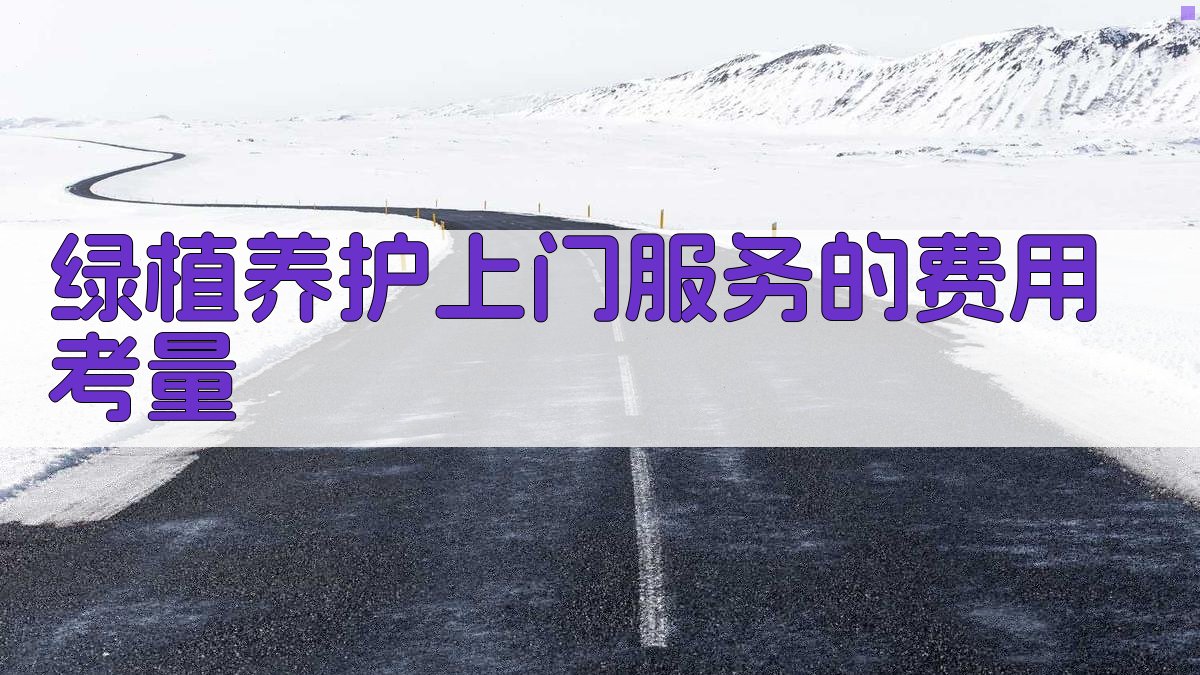 绿植养护上门服务的费用考量 图2