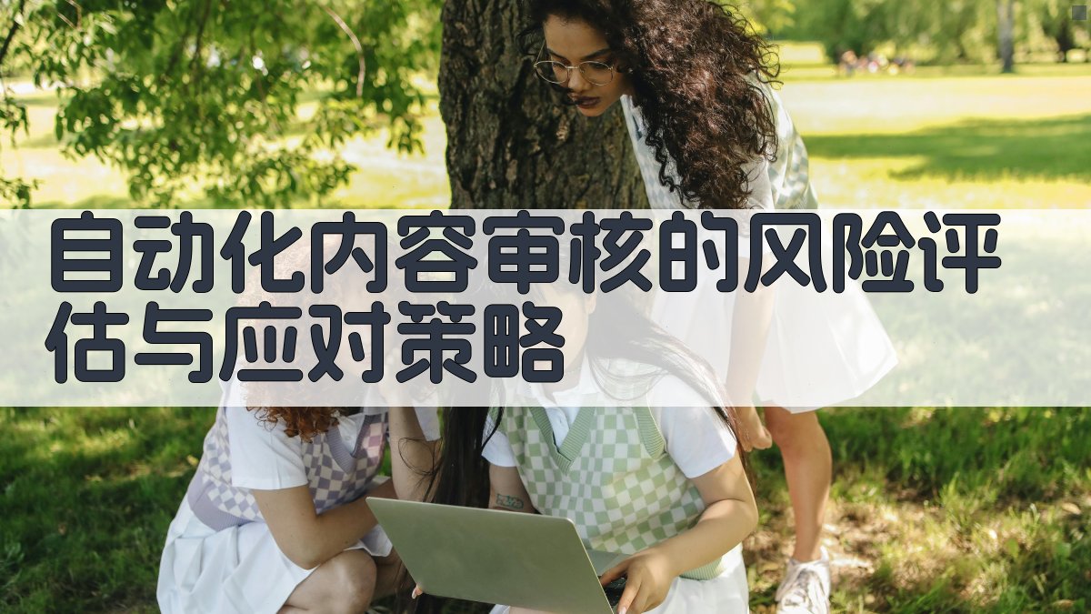 自动化内容审核的风险评估与应对策略 图2