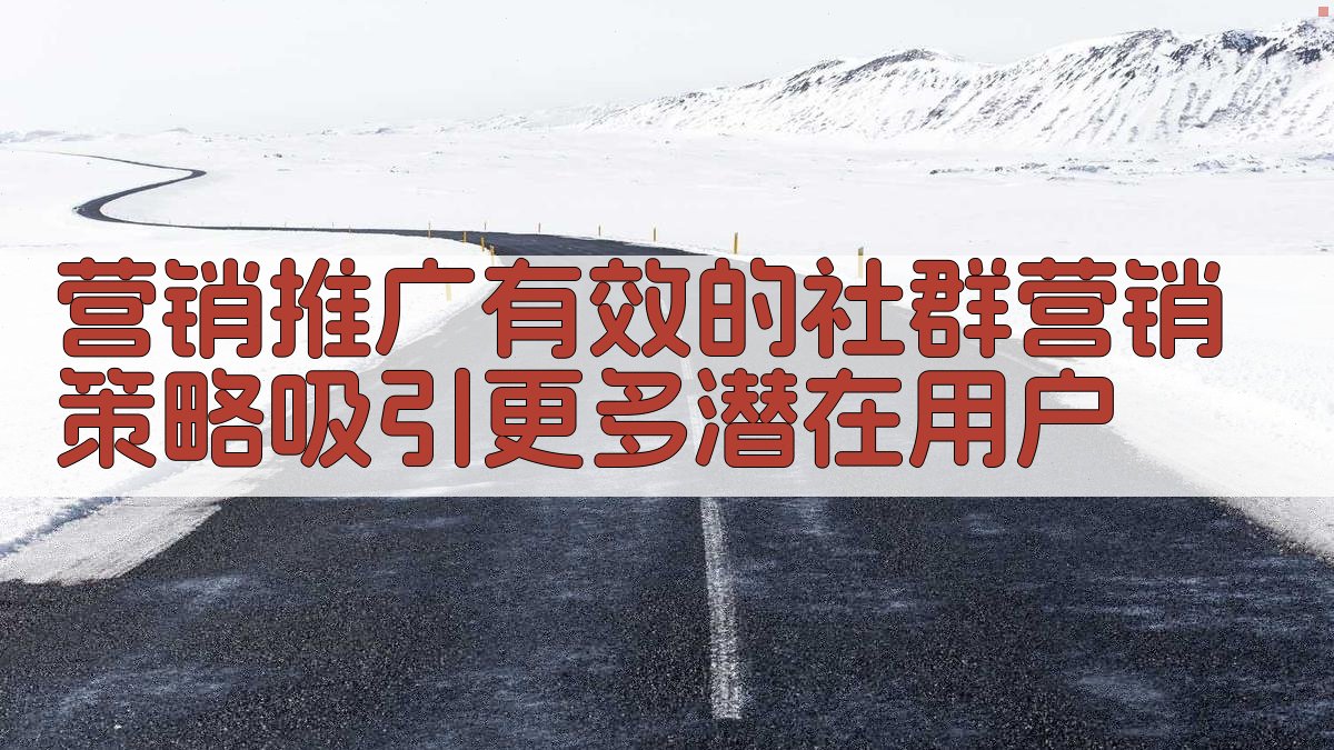 2025年二手奢侈品鉴定社群运营实操指南付费鉴定与交流服务策略