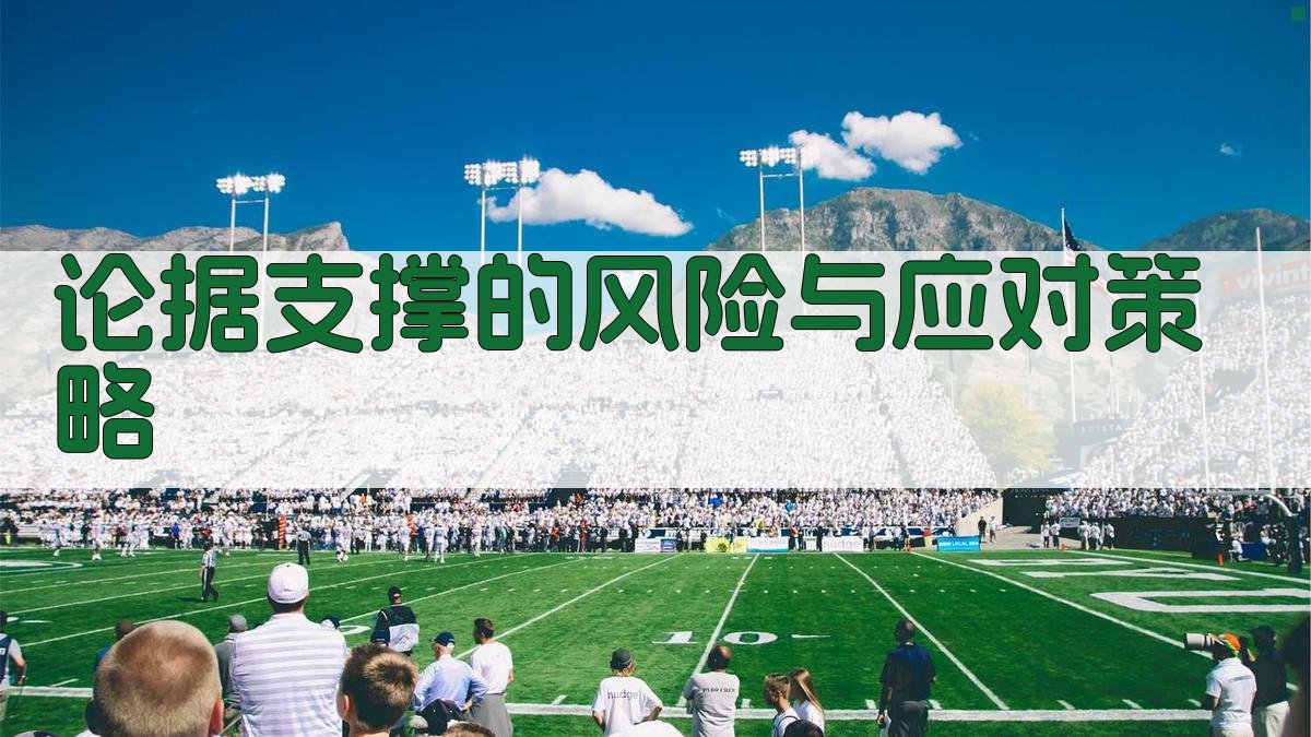 论据支撑的风险与应对策略 图5