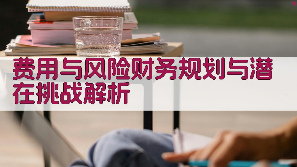 费用与风险财务规划与潜在挑战解析 图5