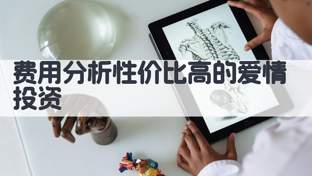 费用分析性价比高的爱情投资 图1