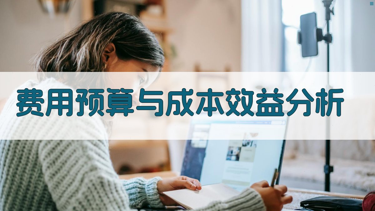 费用预算与成本效益分析 图2