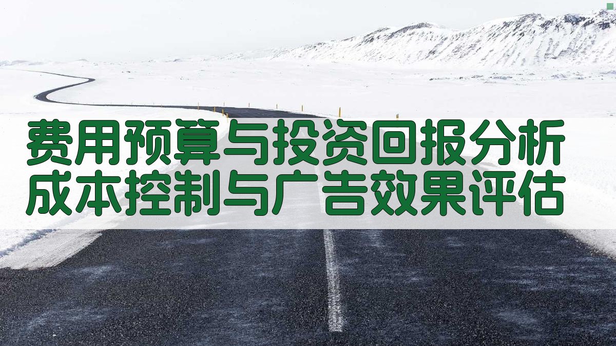 费用预算与投资回报分析成本控制与广告效果评估 图2
