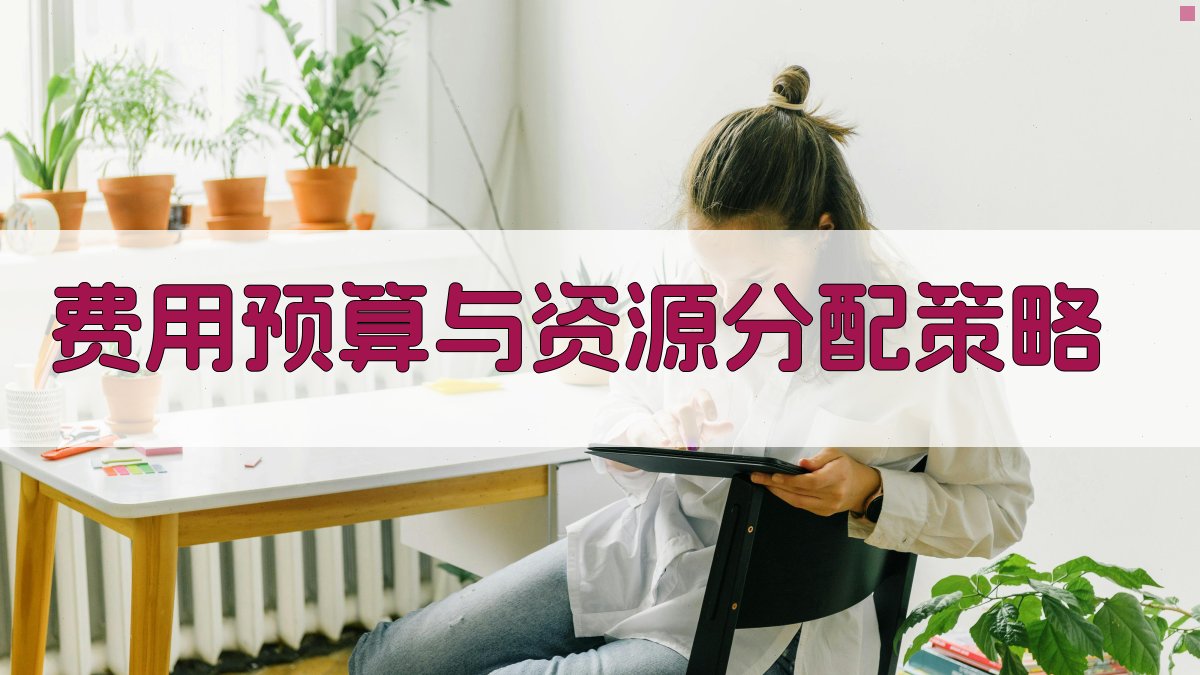 费用预算与资源分配策略 图4