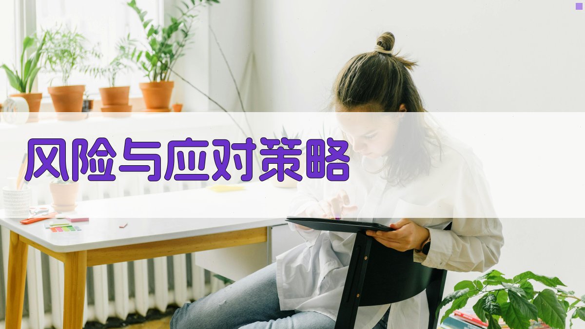 风险与应对策略 图5