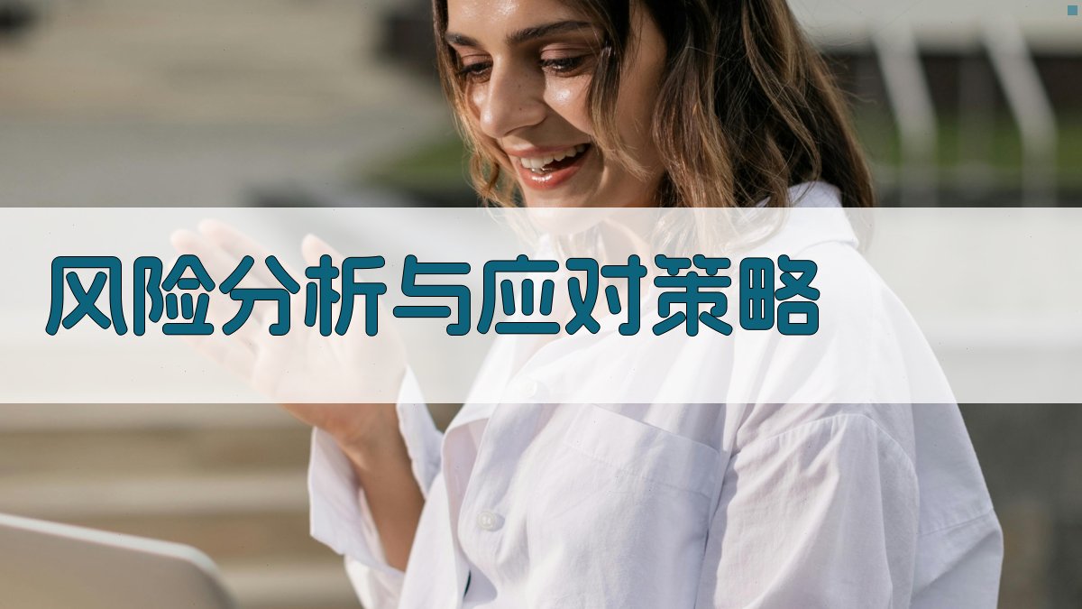 风险分析与应对策略 图1