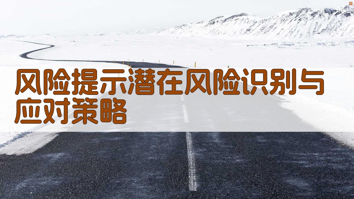 风险提示：潜在风险识别与应对策略 图3