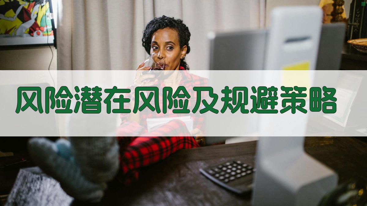 风险潜在风险及规避策略 图2