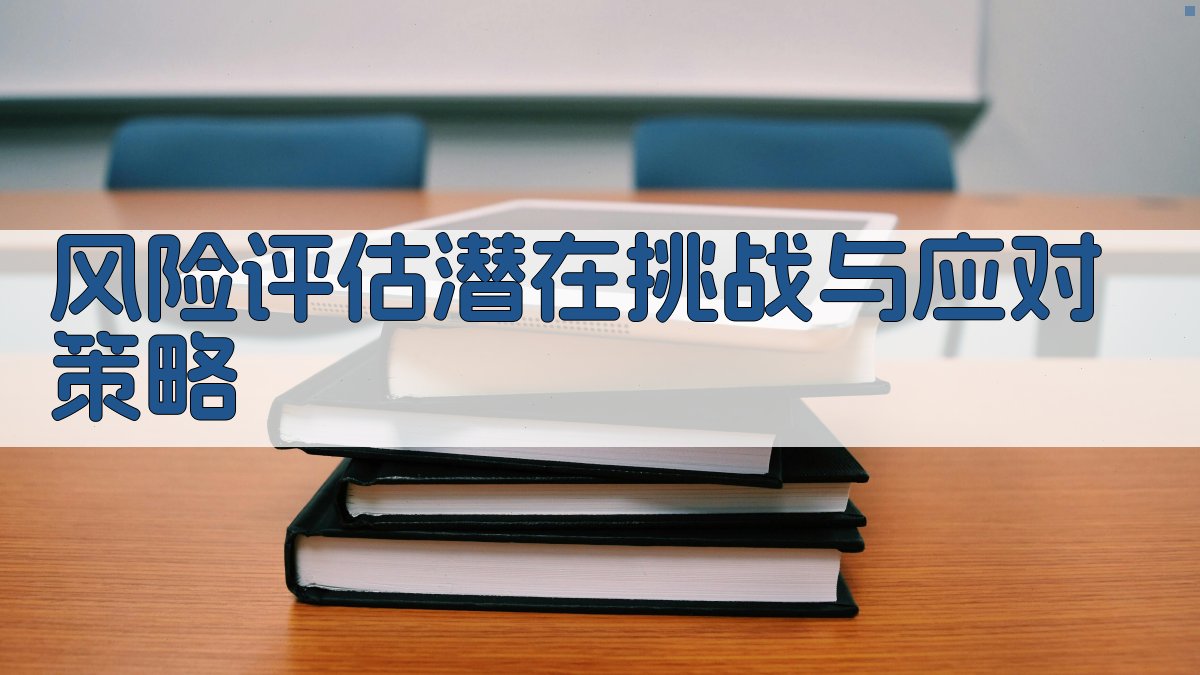 风险评估潜在挑战与应对策略 图3