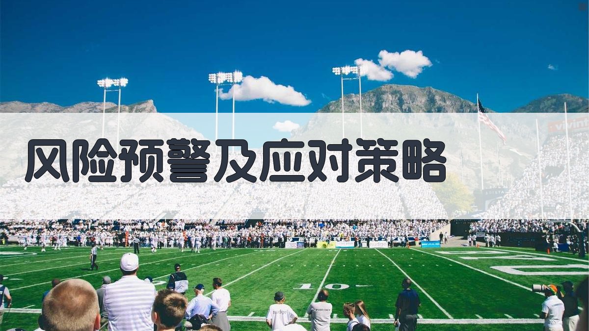 风险预警及应对策略 图4